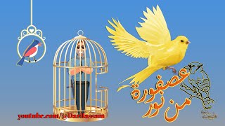 🦜 نشيد عصفورة من نور⚡ أناشيد وأغاني للأطفال باللغة العربية 🌷اناشيد اطفال صف الثاني  A bird of light