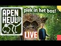 🔴 Live – apenheul apeldoorn🐵