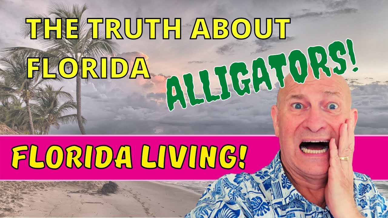 The Truth About Alligators In Florida - Florida Living