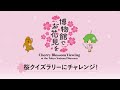 【オンラインギャラリーツアー】桜クイズラリーにチャレンジ！