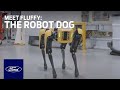 Ford gebruikt robothond van Boston Dynamics