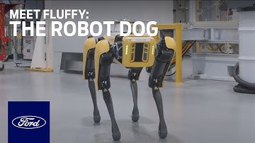 Meet Fluffy the Robot Dog | Innovation | Ford
