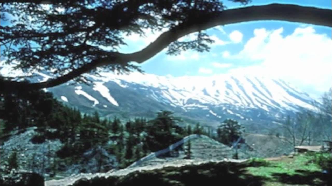 Fairouz - Shady / فيروز- شادي Fairouz - Shady / فيروز- شادي