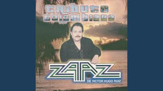 Video thumbnail of "Groupo Zaaz De Victor Hugo Ruiz - Lucerito"