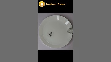 Amazing Trick with Marker Pen | Water Experiment | Fundoor Amaze #Shorts