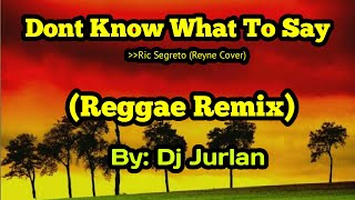 Don't Know What To Say (Reggae Remix) | DjJurlan Remix | Ric Segreto | Reyne cover