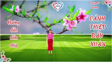 Hướng dẫn đếm nhịp: CÁNH THIỆP ĐẦU XUÂN | Rất hay - rất đẹp | THÚY ĐỖ ZUMBA!