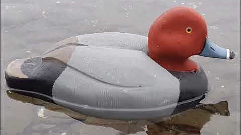 Homemade Redhead Decoy Project - Part 1: The Body