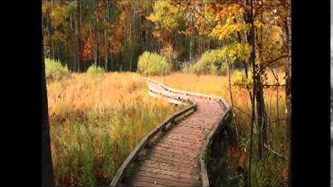 Tour of UW-Stevens Point