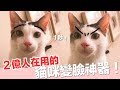 ２億人在用！？貓咪１秒變臉【好味貓日常】EP52