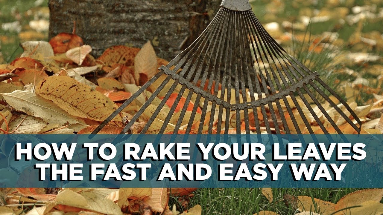 The Easy Way to Rake Leaves Tips YouTube