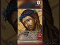 إن طريق الحياة مملوء أل م ا ودموع ا وأشواك ا وخناجر الص لبان تنبت في كل مكان الألم