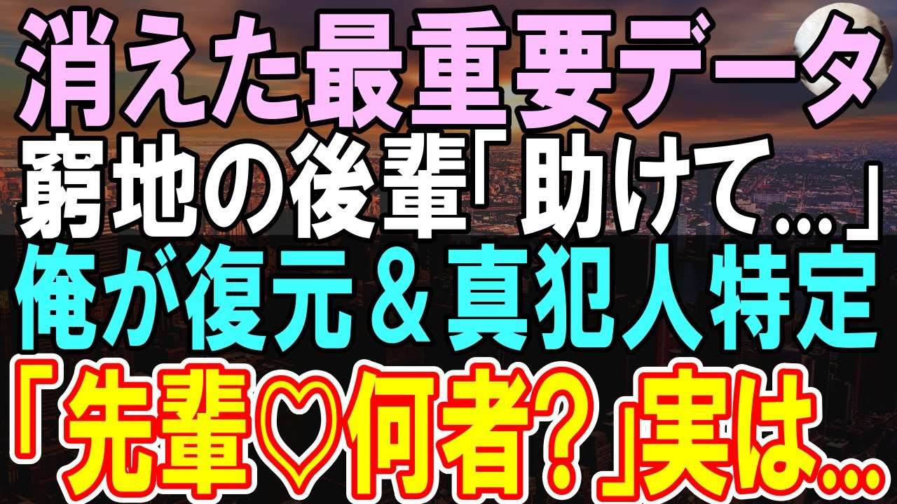 【感動する話】前職はハッカーの俺。新卒エリート女性社員が超重要データを削除してクビの危機→俺がデータを復元すると、真犯人を突き止め…【いい話】【朗読】