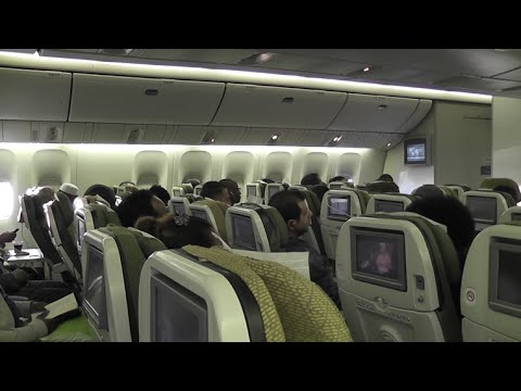 Ethiopian Airlines Flight 503 Seating Chart