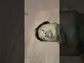 #video #viralvideo #vikkykashyap777#viralvideo #viralshort #viralshorts