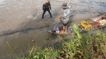 fishing | gặp phải cao thủ kích cá vuông tôm | Hương Tràm U Minh