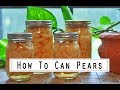 Canning Pears Made Simple! (Bonus: Easiest Way To Peel Pears)