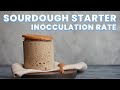 How much Sourdough Starter is Best?