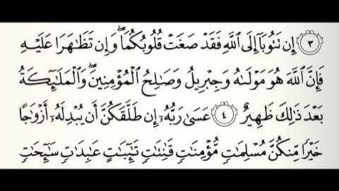 سورة التحريم القارئ محمد الفقيه