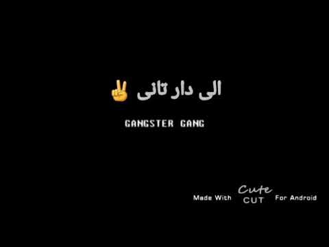 شدو السلاح ضرب وجراح