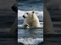 A Polar Bear Cuddling with Her Cub in the Icy Arctic? #viral #shorts