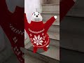 #Song#Kalvin#Dance#Polar bear