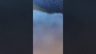 1010Am January 29 2019 Before Lsd3