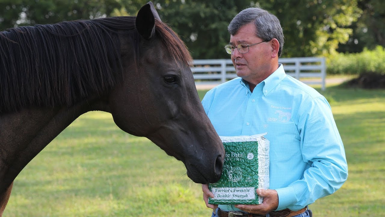 Benefits of Feeding a Hoof Supplement