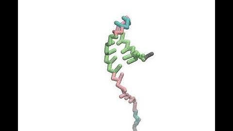 Folding of BWYV pseudoknot