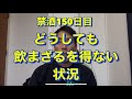 飲まざるを得ない状況。20年間毎日酒を10杯以上飲んでた芸人が禁酒を決意！アル中、禁酒、精神崩壊、絶望、地獄、断酒、重度アルコール依存症、不眠症、酒鬱、不安症、パニック症、自律神経失調症