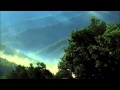 野鳥の歌:谷間に響く:wild bird calls