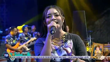 ICHA KISWARA-SERIBU KALI SAYANG#SAVANASAKJOSE