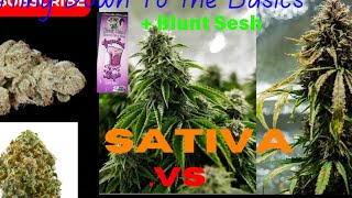difference between indica and sativa #trending #education #information #reccomended #feed