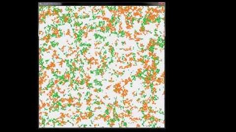 C# Bacteria Simulation | Cellular Automaton | Science with Greg