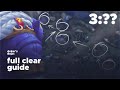 Rengar Full Clear Guide Season 11