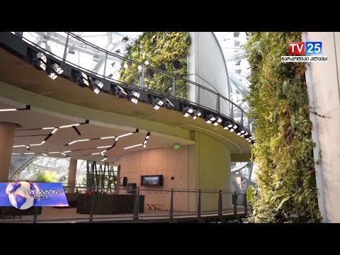 \"ამაზონი\" ახალ ოფისებს ხსნის