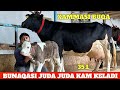 BUNAQASI JUDA JUDA KAM SIROJIDDIN NO1 CHEMPION SIGIRLAR