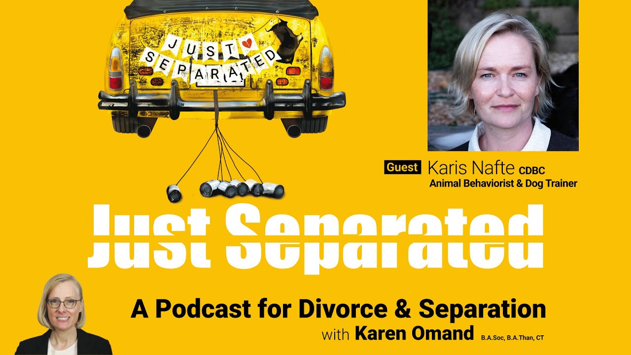 Who Keeps the Dog? Pet Custody and Divorce Challenges