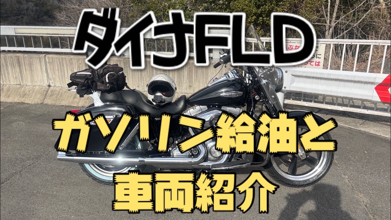 【車両紹介】ダイナFLD【スイッチバック】