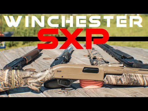 Best Pump Shotgun for the $? Winchester SXP 12ga Pump Shotgun Reviewphoto