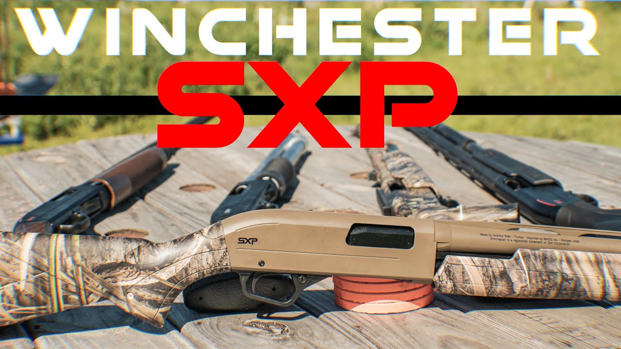 Best Pump Shotgun for the $? Winchester SXP 12ga Pump Shotgun Review
