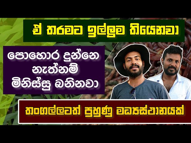 තංගල්ලටත් පුහුණු මධ්‍යස්ථානයක්