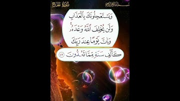 سورة الحج الآية ( 47 )