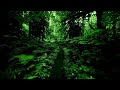 The Cure - A Forest 🌳 – Lyrics video