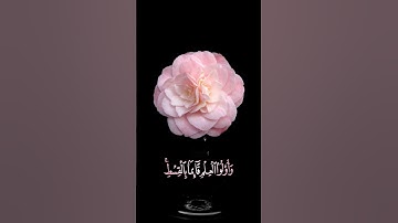 صباح الخير 🌸اجمل حالات واتس اب مقاطع قصيره 🌸قران كريم سورة ال عمران🌸 القارئ ماهر المعيقلي🌸بدون حقوق