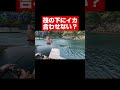 合わせない釣り？でも釣れる#shorts #fishing #アオリイカ #筏釣り