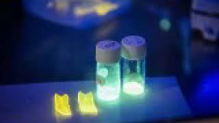 What are Smart Polymers?