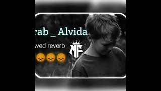 mehrab_ vlveda (slowed & reverb) MS™