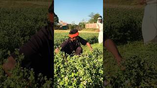 Aaj baap se beta Bach Gaya #trending #viral #entertainmentnews #youtubeshorts #funny #reels #video