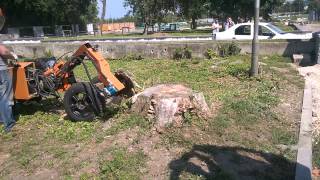 WP 20150727 12 52 14 Pro